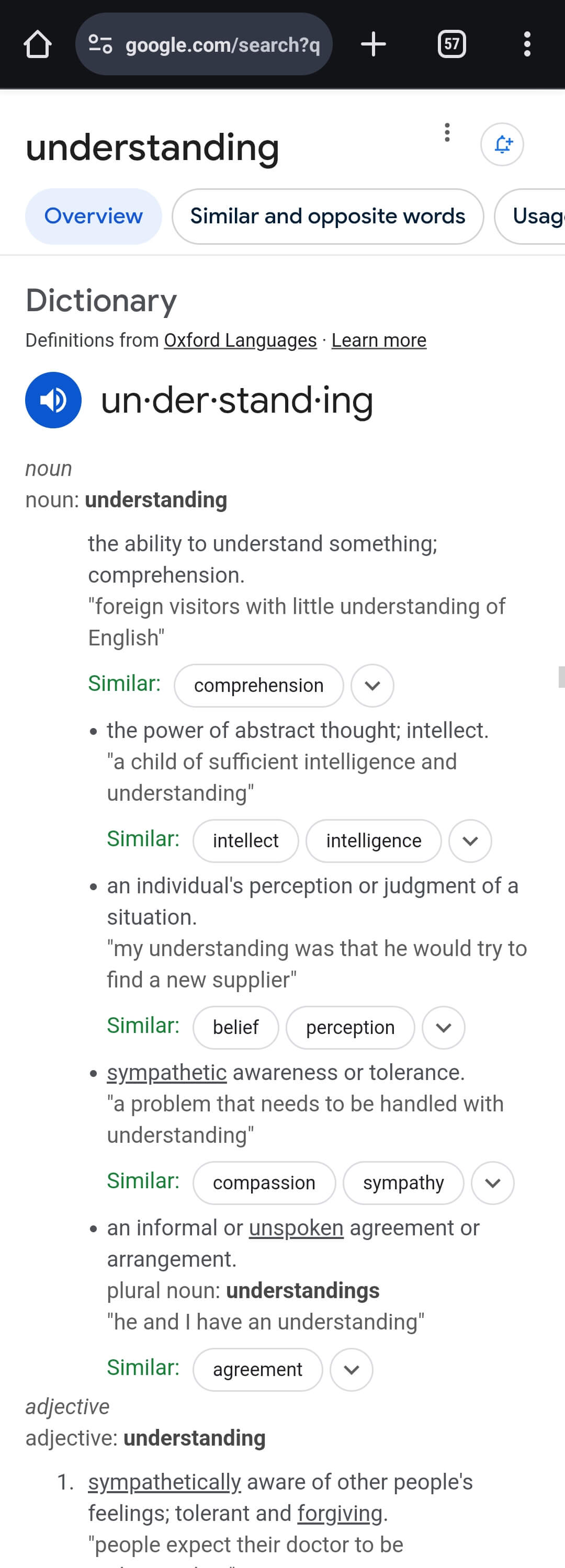 Definition of understanding.